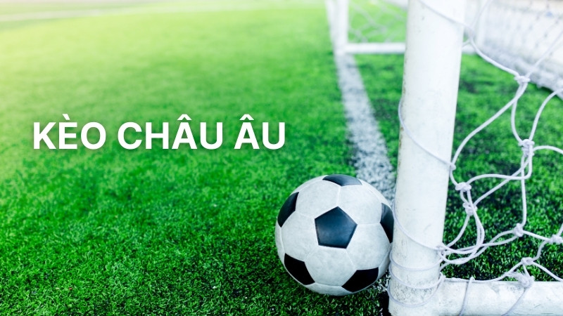 Kèo Châu Âu: Hướng Dẫn Đọc Và Phân Tích Tỷ Lệ Chuẩn Xác 1 Kèo Châu Âu: Hướng Dẫn Đọc Và Phân Tích Tỷ Lệ Chuẩn Xác